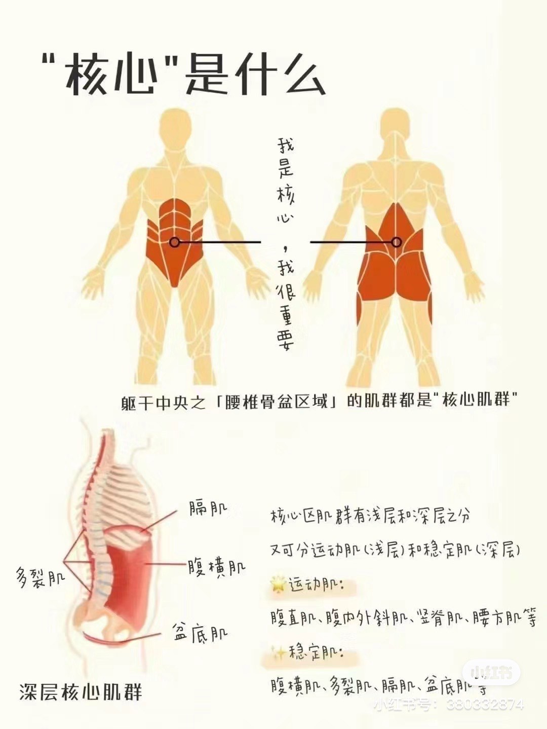 核心示意图图片