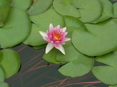 -酷鱼垂钓CLUB(朝阳区博大路店 )