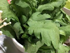 茼蒿-张记烤羊腿(北花园店)