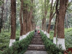 -古隆中景区
