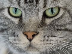 -平行世界·猫咖(首经贸店)