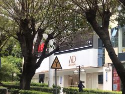 -Amo la Diva造型
