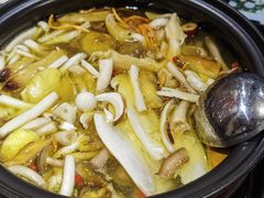 -菌之家·专业纯野生菌火锅·特色炒菌
