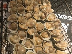 烤白蚬子-锦州御烧烤·形象店(人民街店)