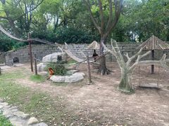 -上海野生动物园