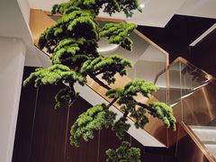 -正清和·推拿养生(二七广场店)