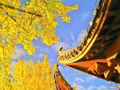 -楚望台遗址公园