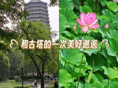-玲珑塔公园