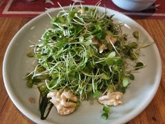 香椿苗核桃仁-庆云楼饭庄(什刹海店)