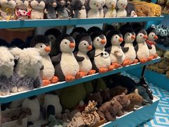 -JOYCODE(西单大悦城店)