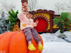 -南京银杏湖乐园