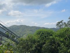 -海南槟榔谷黎苗文化旅游区
