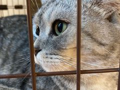 -金谷里艺术馆
