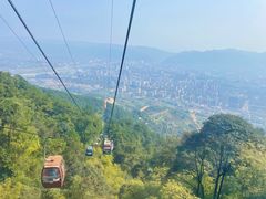 -缙云山景区