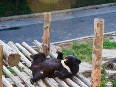 -大连森林动物园