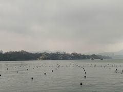 -杭州君悦酒店