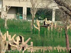 -沈阳森林动物园