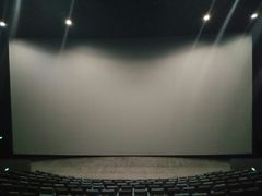 -金逸影城(明发IMAX店)