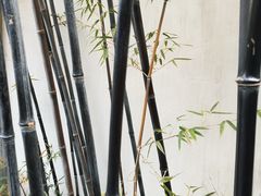 -南京市民俗博物馆(甘熙故居)