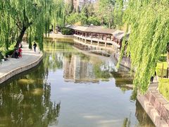 -团结湖公园
