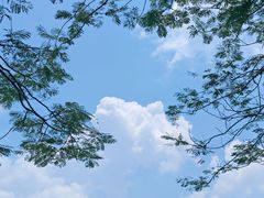 -海珠湖公园