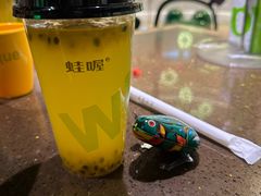 -蛙喔牛蛙(高新绿宝店)