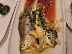-醉辉皇原味海鲜江南菜(成都大魔方店)