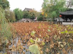 -丝绸小镇荻港古村