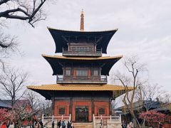-广富林郊野公园