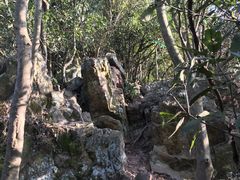 -午潮山国家森林公园