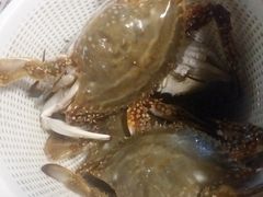 -蟹谢蒸鲜自助餐厅