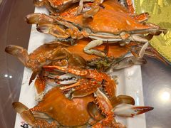 -宾朋海鲜饭庄(兴海路店)