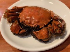 盘锦河蟹-小时候2013(瀚新店)