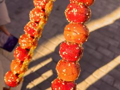 冰糖葫芦-白魁老号饭庄(交道口店)