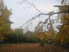 -四川大学(华西校区)