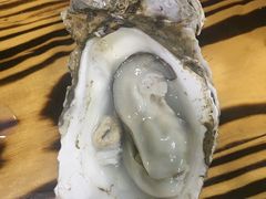 -大富蚝乌东哥饭店·石锅鱼杂·柠檬鸭(革新路店)