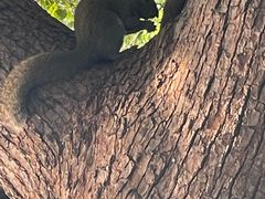 -杭州西湖仁和饭店(湖滨银泰in77店)