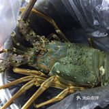 你可以把后面那个扇叶打开