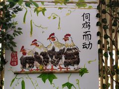 -俏媳妇有鸡菜园