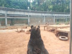 -昆明动物园
