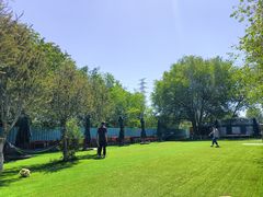 -亲兄弟真人CS团建拓展基地