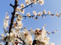 -昆山城市生态森林公园