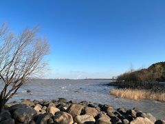 -上海吴淞炮台湾国家湿地公园