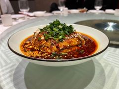 口水鸡-渝信川菜(华盛店)