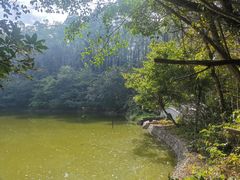 -水濂山森林公园