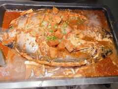 湄公鱼-炉鱼(无锡八佰伴中心店)