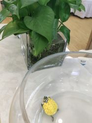 -Return·蕾特恩祛痘·皮肤管理中心