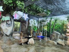 -海南热带野生动植物园