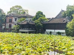 -张家巷美食(南浔店)