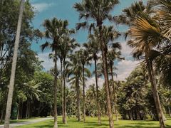 -中国科学院西双版纳热带植物园